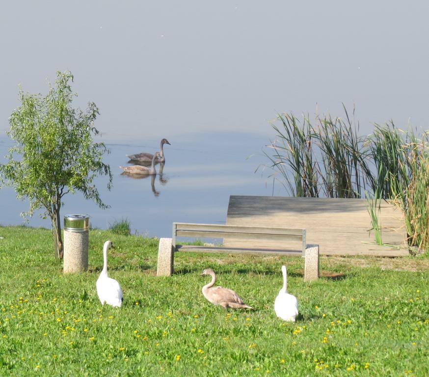 Siker B&B Hotel Pernica Buitenkant foto